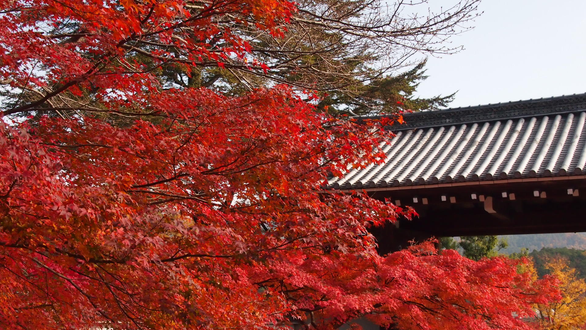 そうだ京都行こう！岩倉・実相院の紅葉（その一）: OTSUKYONのスローライフ♪と鉄道日記☆彡